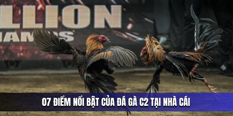 07-diem-noi-bat-cua-da-ga-c2-tai-nha-cai