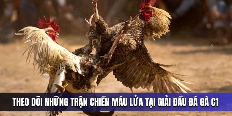 theo-doi-nhung-tran-chien-mau-lua-tai-giai-dau-da-ga-c1